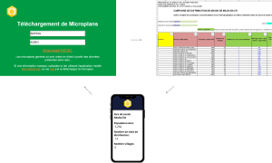 Microplans in IASO